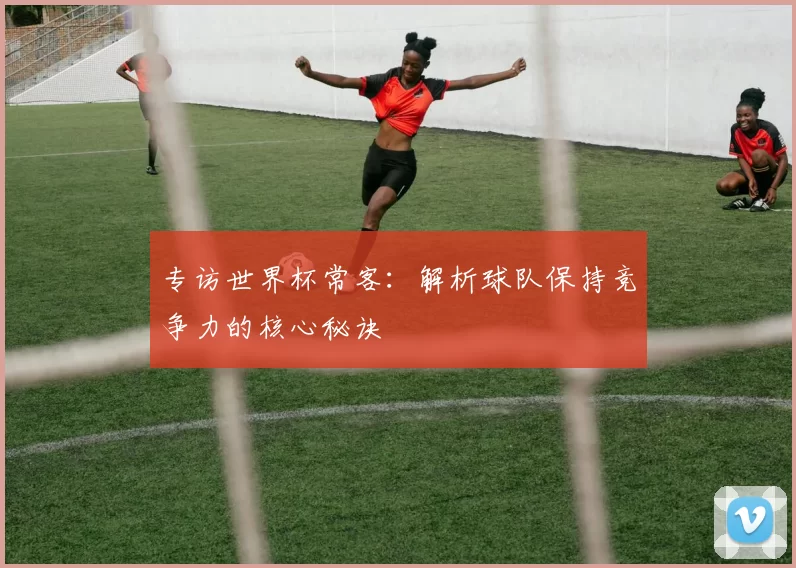 专访世界杯常客:解析球队保持竞争力的核心秘诀