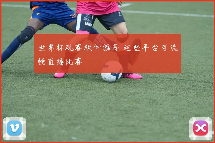 世界杯观赛软件推荐 这些平台可流畅直播比赛