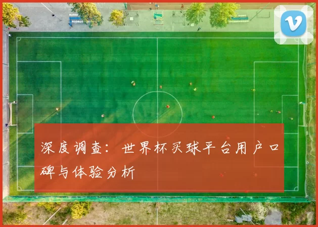 深度调查:世界杯买球平台用户口碑与体验分析