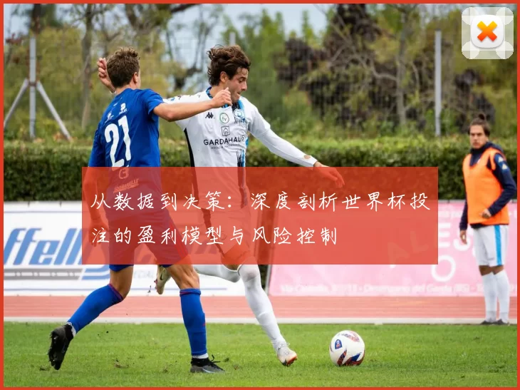 从数据到决策：深度剖析世界杯投注的盈利模型与风险控制