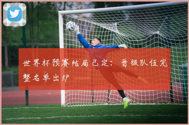 世界杯预赛结局已定：晋级队伍完整名单出炉