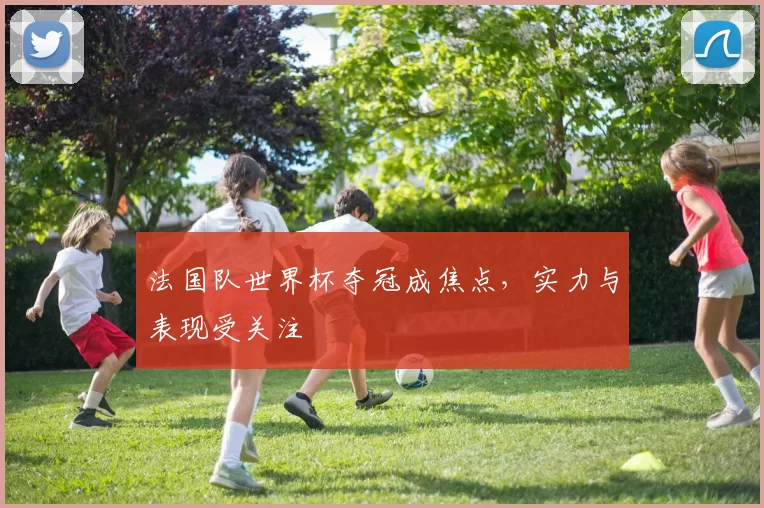 法国队世界杯夺冠成焦点,实力与表现受关注