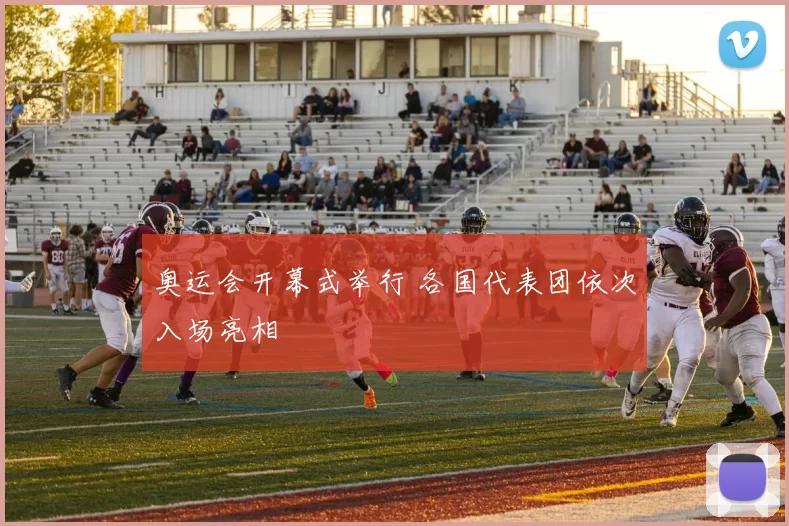 奥运会开幕式举行 各国代表团依次入场亮相