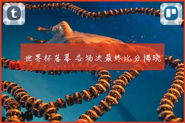 世界杯落幕 各场次最终比分揭晓