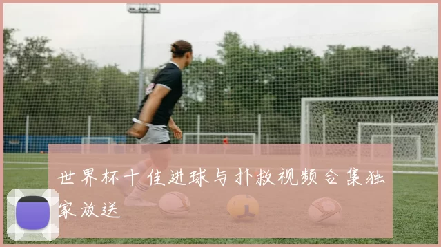 世界杯十佳进球与扑救视频合集独家放送