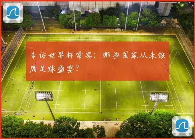 专访世界杯常客：哪些国家从未缺席足球盛宴？