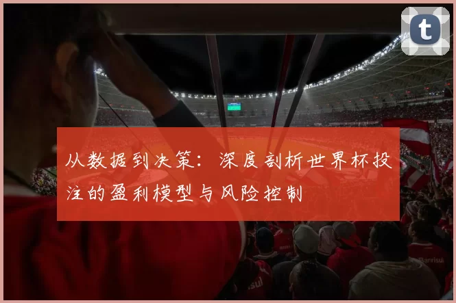 从数据到决策:深度剖析世界杯投注的盈利模型与风险控制