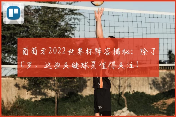 葡萄牙2022世界杯阵容揭秘:除了C罗,这些关键球员值得关注!