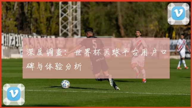 深度调查:世界杯买球平台用户口碑与体验分析